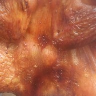 ร้านกับข้าวพี่ปีปังล้อ