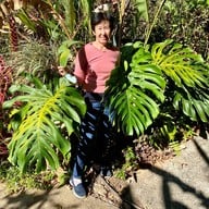 Khaokhoherbary Organic farm & Resort