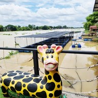 ครัวรุ่งแจ้ง @ เจ้าพระยา บ้านรุน
