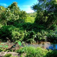 Khaokhoherbary Organic farm & Resort