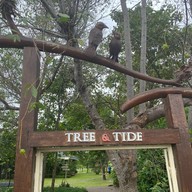 Tree & Tide Riverside