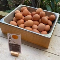 Khaokhoherbary Organic farm & Resort