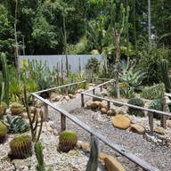 บรรยากาศ Jone's Garden