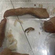 ไอติม หน้ามอ( ไอติมทอด ปังปิ้ง ปังเย็น เครื่องดื่ม)