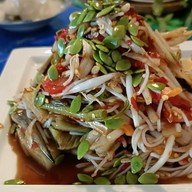 เจ้ตุ๊กสารพัดตำ เจ้ตุ๊กสารพัดตำ