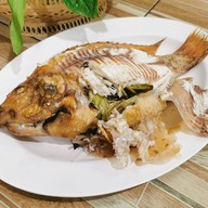 กินปลา