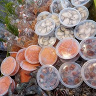 ยำป็อกๆหน้าห้างพันธุ์ทิพย์