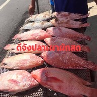 ดีจังปลาเผาผักสด หางดง