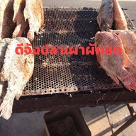 ดีจังปลาเผาผักสด หางดง