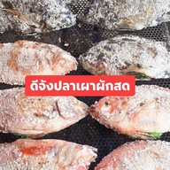 ดีจังปลาเผาผักสด หางดง