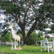 The Sea-cret Garden Hua-hin