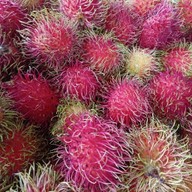 ของขวัญสารพัดยำ  (บ้านป่ากุ๊ก)
