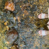 ครัวครูมาลี