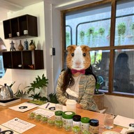 Chaseki Matcha Specialist & Teahouse Old Town