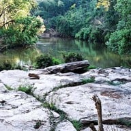 อุทยานแห่งชาติทุ่งแสลงหลวง