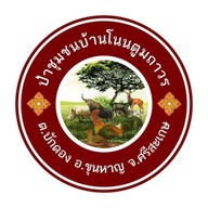 บรรยากาศ ป่าชุมชนบ้านโนนตูมถาวร