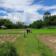 Ahsa Farmstay