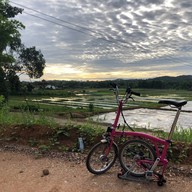 Ahsa Farmstay