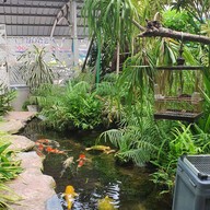 The Color Smile Dental Clinic ปทุมธานี