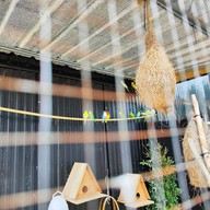 ยาย-กู-ซ่า-กระเพราเถื่อน ข้างร้านอีปริก