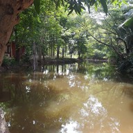 บรรยากาศ ครัวริมน้ำบ้านไร่ บ้านไร่ จอมทองรีสอร์ท