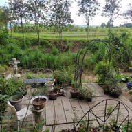 Zen Cafe & Bistro (by Hakk Foundation)