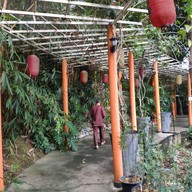 Zen Cafe & Bistro (by Hakk Foundation)