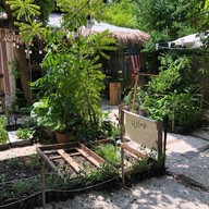 บ้านนอก story Home town
