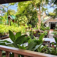 บรรยากาศ ครัวพันธุ์ไม้ ถนนทัพพระยา ซอย 13  พัทยา  ชลบุรี