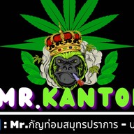 Mr.Kantom สมุนไพรใบกระท่อม บางปู -สมุทรปราการ สาขา 1 (วิทยุการบิน)