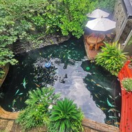 บรรยากาศ Carp cafe' sriracha