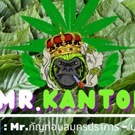 Mr.Kantom สมุนไพรใบกระท่อม บางปู -สมุทรปราการ สาขา 1 (วิทยุการบิน)