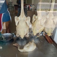 บรรยากาศ ข้าวมันไก่โกหย่ง ไหหลำ สนามบิน