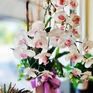 บ้านขนมลุง ท่าแค