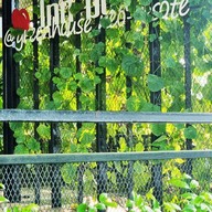 โรงแรม กรีนเฮาส์ นีโอ-รีโซเทล นครศรีธรรมราช (green House Neo-resotel, Nakhon Si Thammarat)