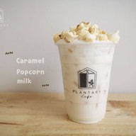 🏡 Plantary Home (กะเพรา ชา กาแฟ) I. ลาดกระบัง