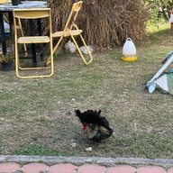 ครัวหนังลุง หัวหิน