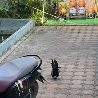 ครัวหนังลุง หัวหิน