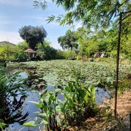 บ้านสวนไผ่คาเฟ่ บริษัท บ้านสวนไผ่ คาเฟ่ จำกัด