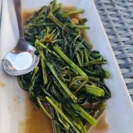 ภูเขาลอยน้ำ เชียงใหม่ Mountain Float Chiangmai