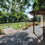 บ้านสวนไผ่คาเฟ่ บริษัท บ้านสวนไผ่ คาเฟ่ จำกัด