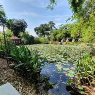 บ้านสวนไผ่คาเฟ่ บริษัท บ้านสวนไผ่ คาเฟ่ จำกัด