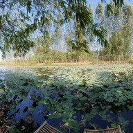 บ้านสวนไผ่คาเฟ่ บริษัท บ้านสวนไผ่ คาเฟ่ จำกัด