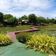 บรรยากาศ Cafe ริมบัว กาญจนบุรี