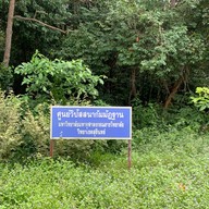 Chulalongkorn University’s College, Surin campus