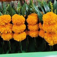 น้ำผึ้ง ร้านดอกไม้ ( วงเวียน ) สาขา 3