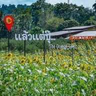 แล้วแต่ปุ๊ The orange Cafe
