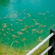 แล้วแต่ปุ๊ The orange Cafe