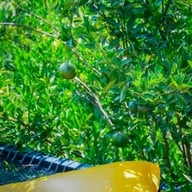 แล้วแต่ปุ๊ The orange Cafe