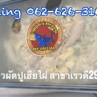 เมนูของร้าน ร้านข้าวผัดปูเฮียไผ่ สาขาเรวดี29